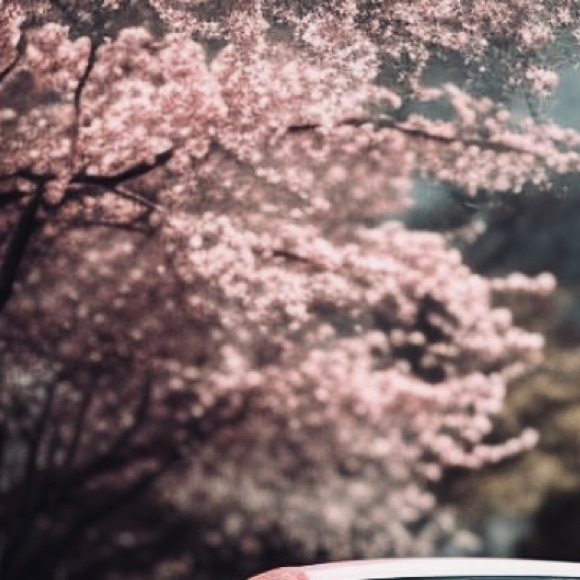 Meet your Posher, Katherine - Picture 1 of 1